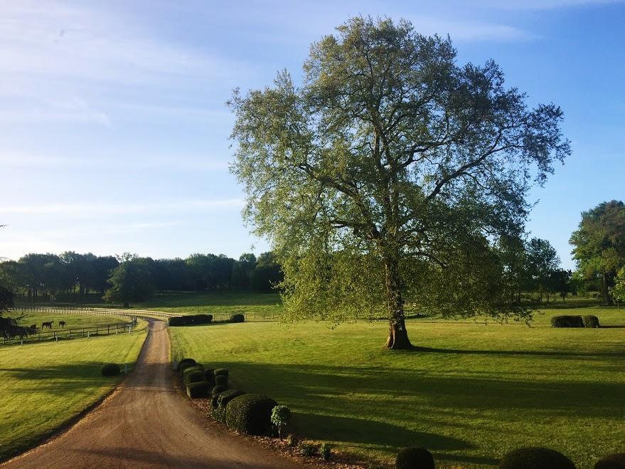 Hotel Haras De La Potardiere Crosmières Exterior foto